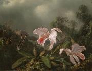 Martin Johnson Heade Jungle Orchids and Hummingbirds France oil painting artist